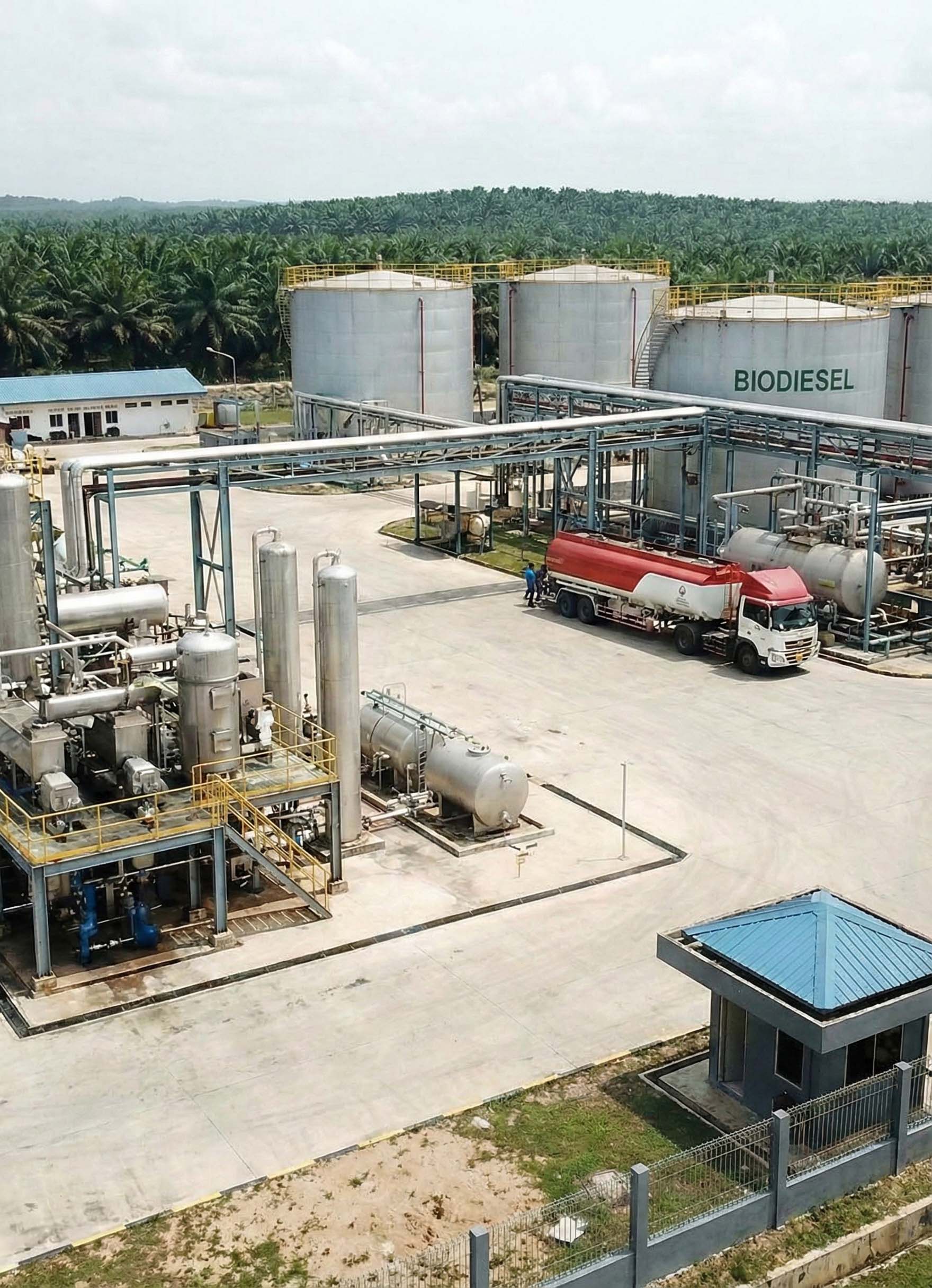 palm oil downstream
